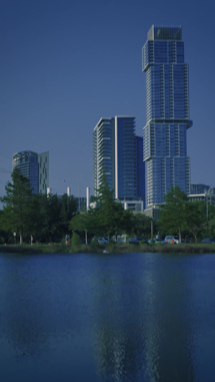 Two birds on the shore of a lake in a park in a city, where there are grass and trees and surrounded by tall buildings, on a hot sunny day