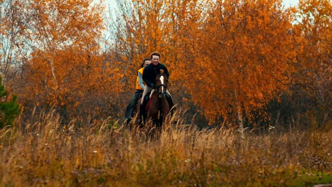 Two woman riding horses in the autumn field, woman, international womens day, animal, field, autumn, leisure, horse, and horses