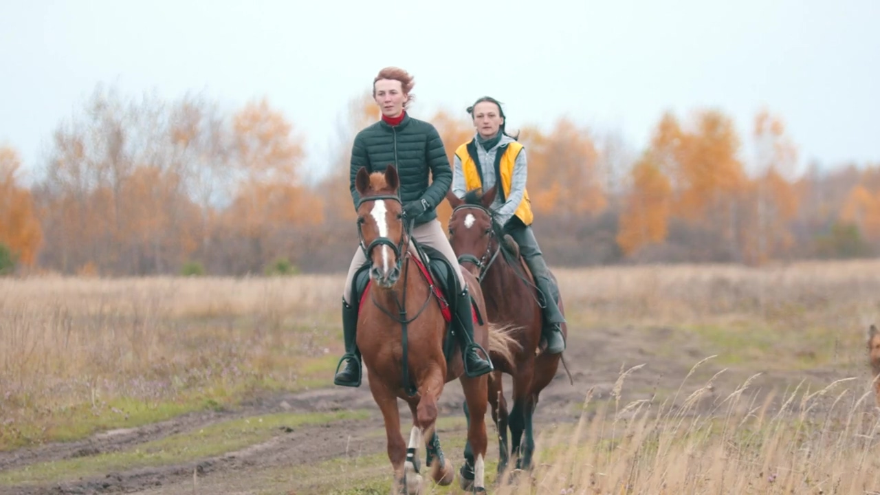 Two women are galloping on the field, outdoor, field, countryside, women, hobby, leisure, and horse