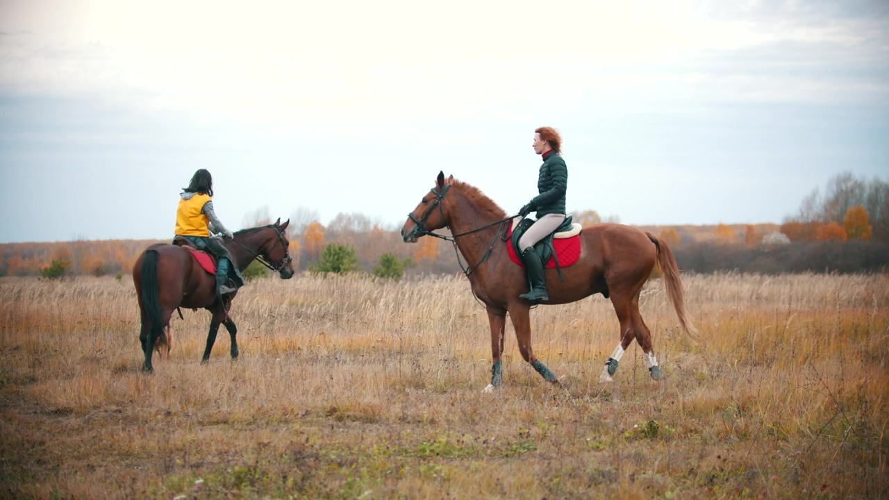 Two women circling on horseback in a large field, horse, ranch, and horses