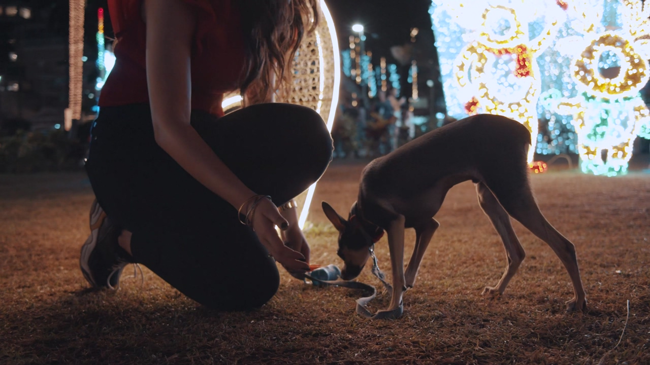 Two women feeding a small dog that has a leash in a christmas theme park at night with ornaments of lights and figures