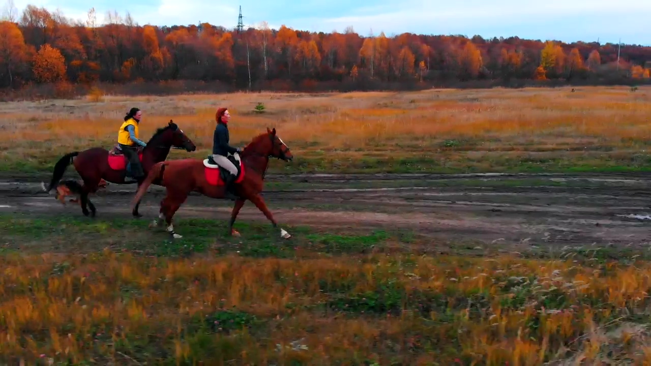 Two women galloping through nature #freedom #horse #horses