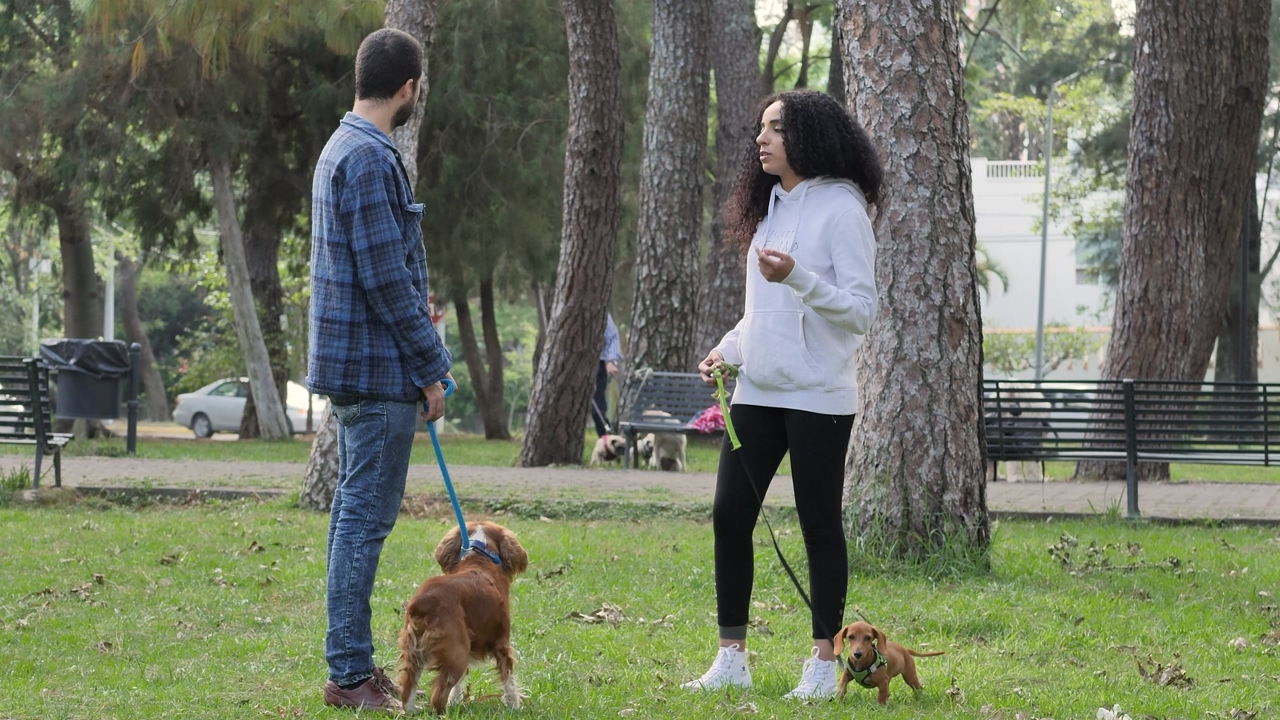 Two young men and women, chatting in a park with grass, trees, benches and others, while they have their dogs each on a leash