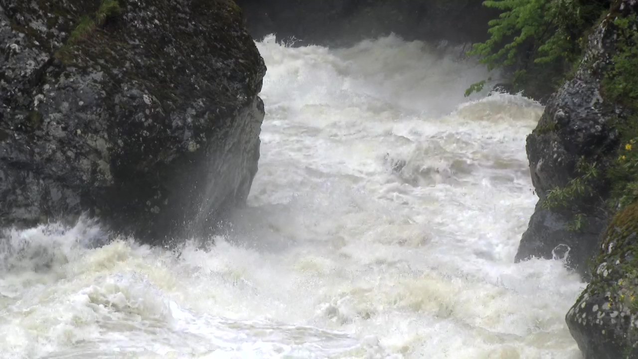 Water flowing and crashing down the river, wildlife, river, rock, wild, and disaster
