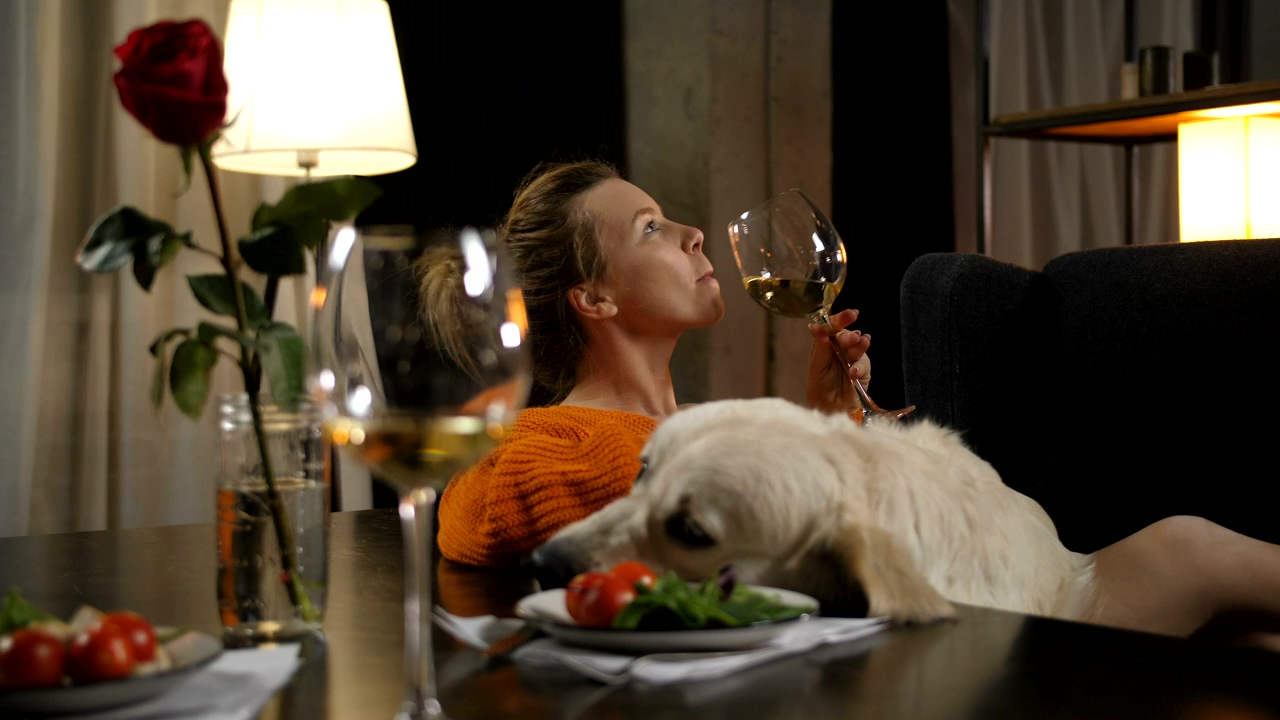 Woman drinking wine with her dog, drink, dog, alcohol, and enjoy