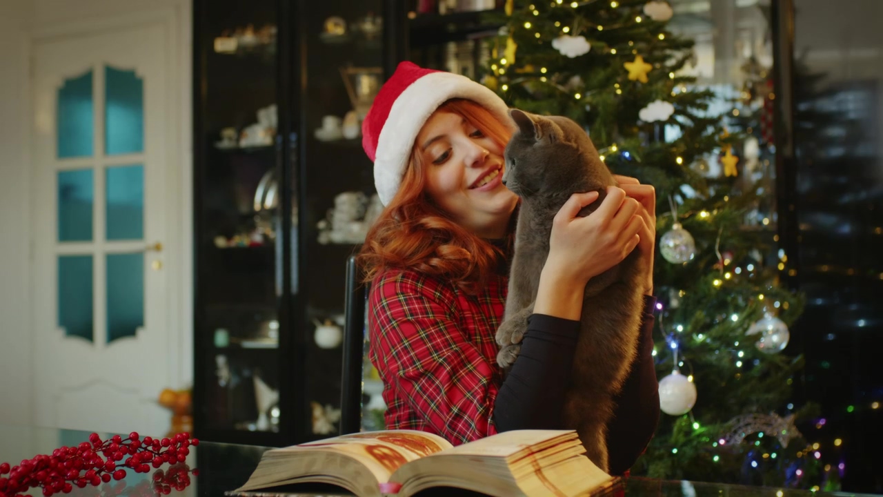 Woman holding her grey cat at christmas, girl, christmas, christmas tree, cat, and cat and dog