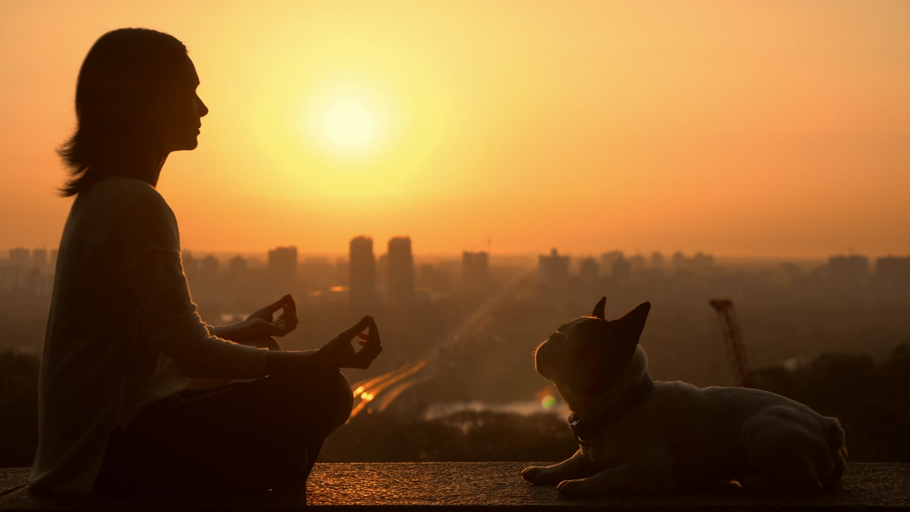 Woman meditating with her dog, with a beautiful view of the city during the sunset