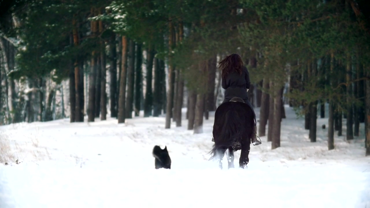 Woman on a horse galloping through a snowy forest, forest, winter, and horse