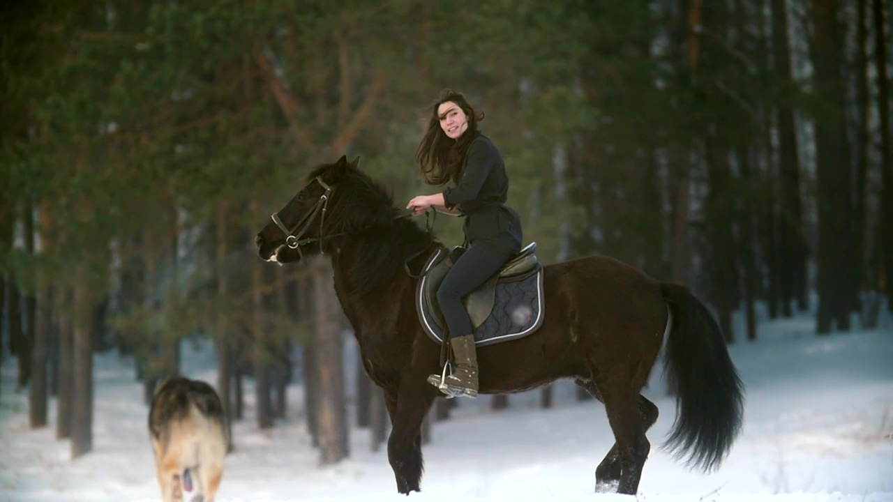 Woman riding a horse in a snowy forest, woman, international womens day, sport, and horse
