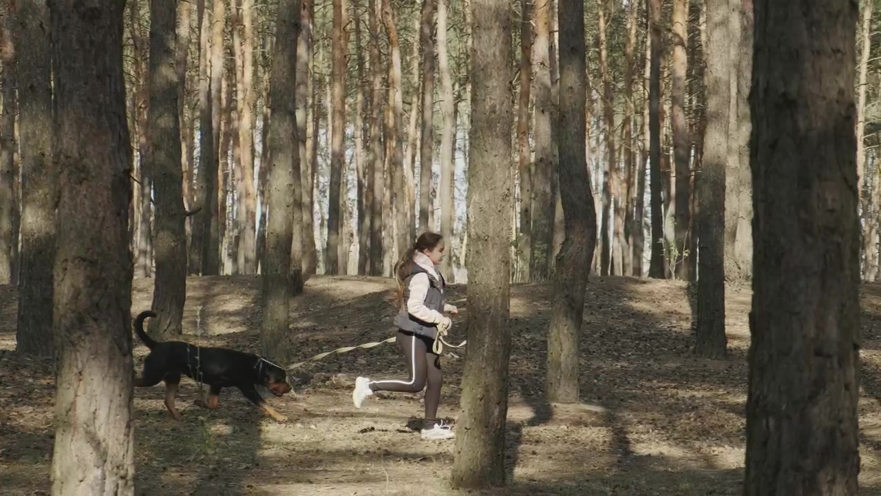 Woman running with her dog through the forest, forest, dog, pet, running, businesswoman, walk, pet owner, and dog owner