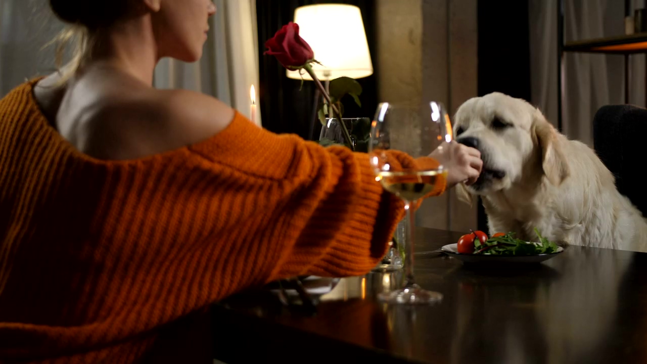 Woman sharing her meal with her dog, woman, international womens day, dog, and pet