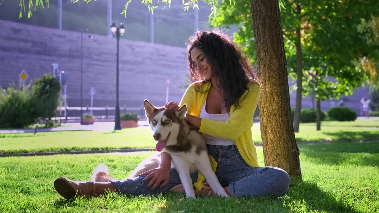 Woman sitting in the park petting her husky dog, girl, park, dog, pet, beautiful, sitting, and husky