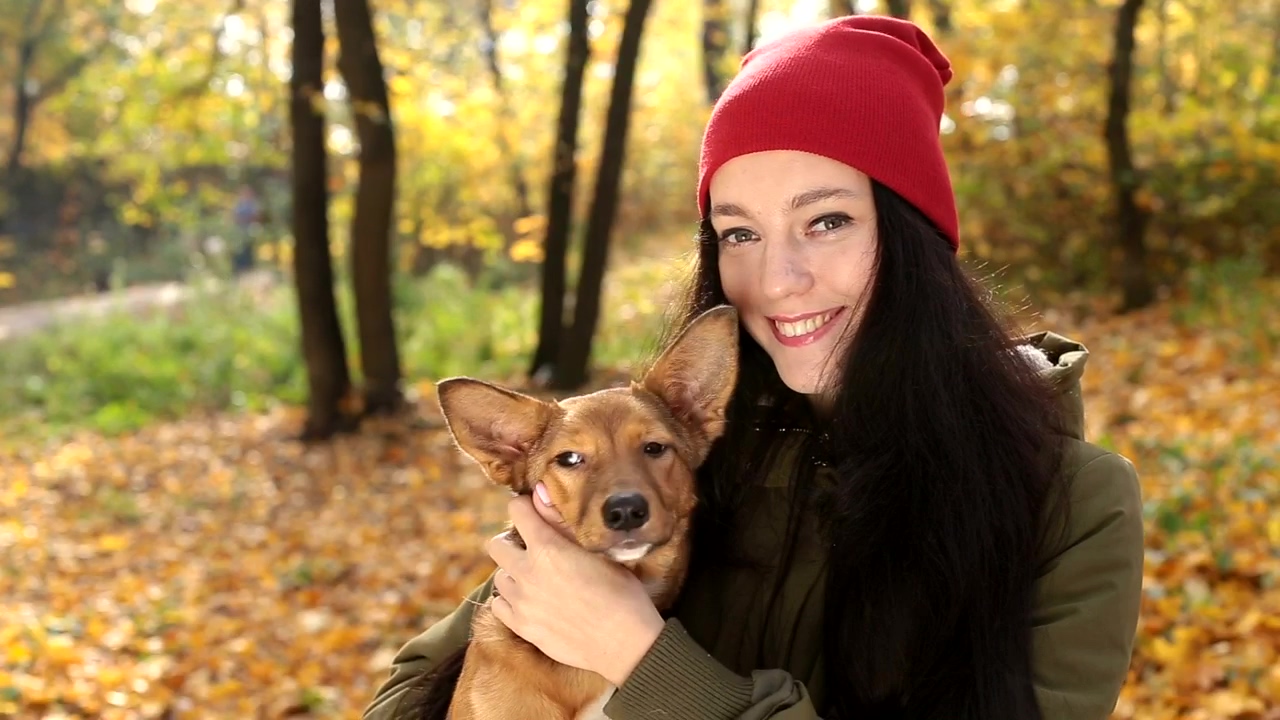 Woman with her little dog looking at the camera, dog, pet, pet owner, and dog owner