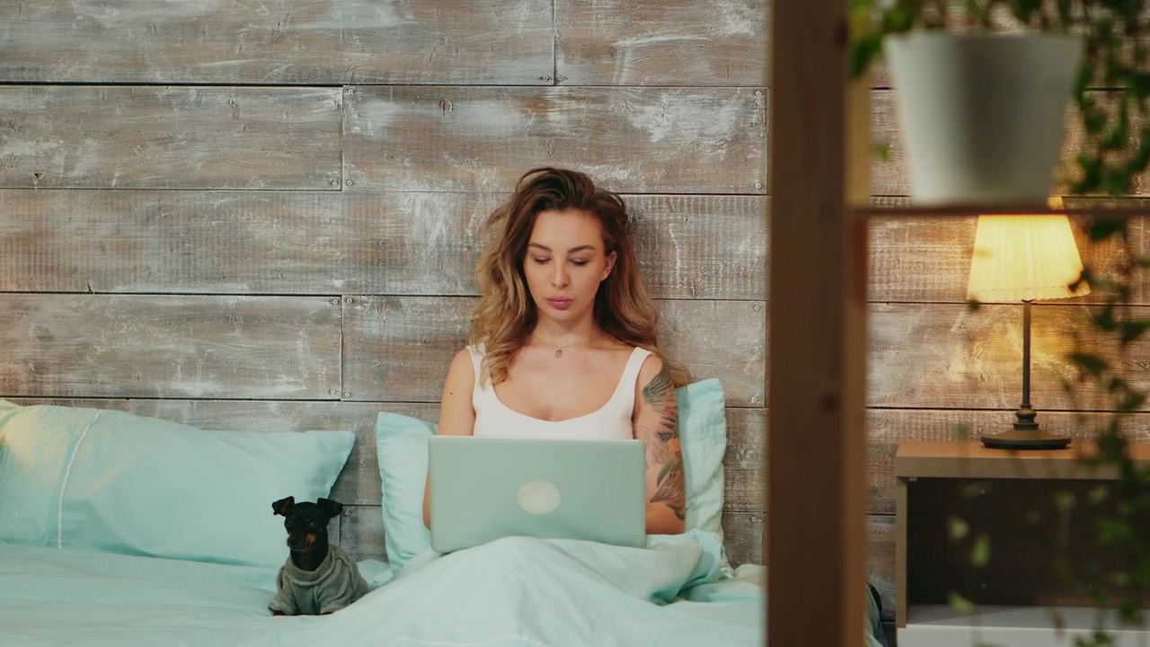 Woman working from her bed with her pet, working, dog, and pet
