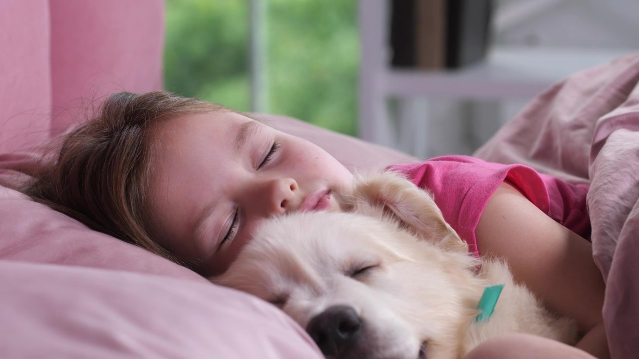 Young girl taking a nap with her puppy, dog, sleep, puppy, and dream