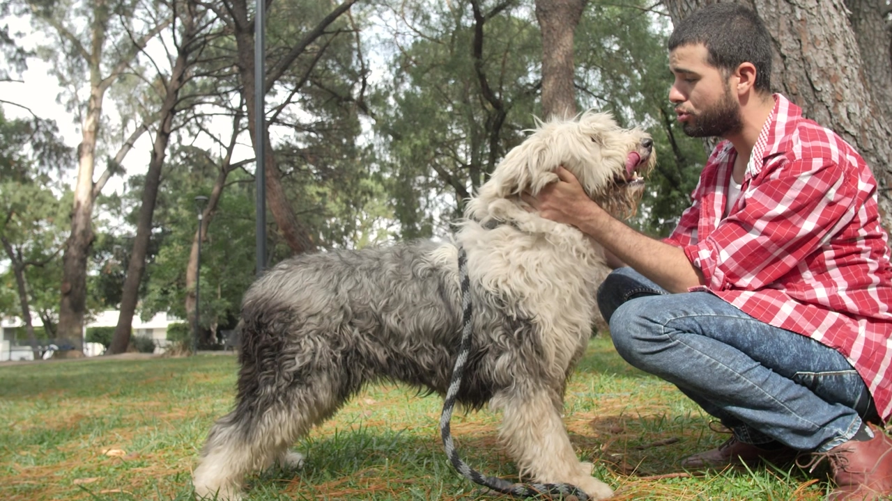 Young man sitting squatting in a park, while lovingly stroking his dog, during a warm sunny day