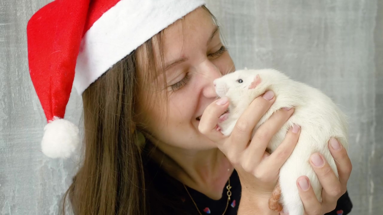 Young woman holding a white rat, animal, christmas, pet, white, xmas, pet owner, hat, and rat