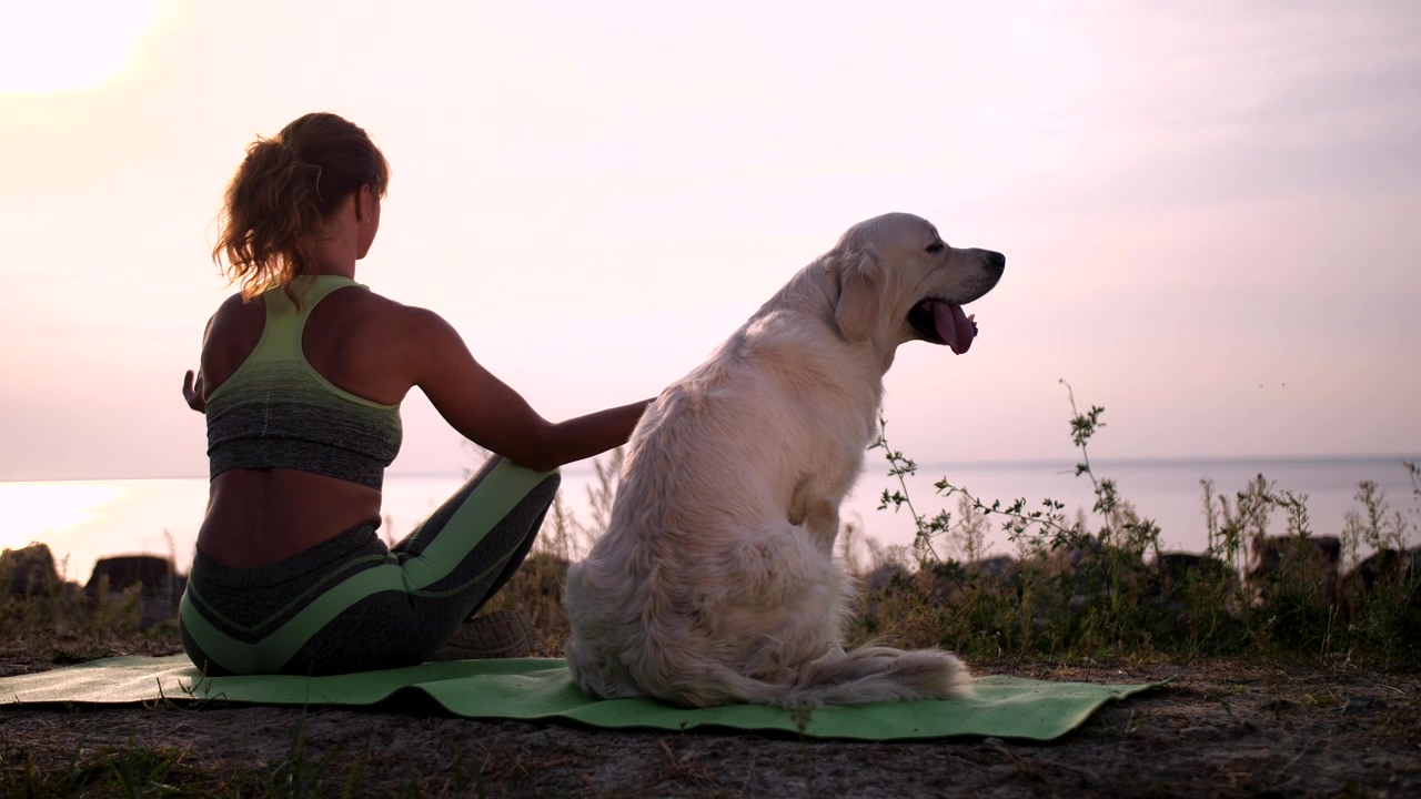 Young woman meditating with her dog aside near sea, dog, pet, yoga, meditation, pet owner, dog owner, and meditate