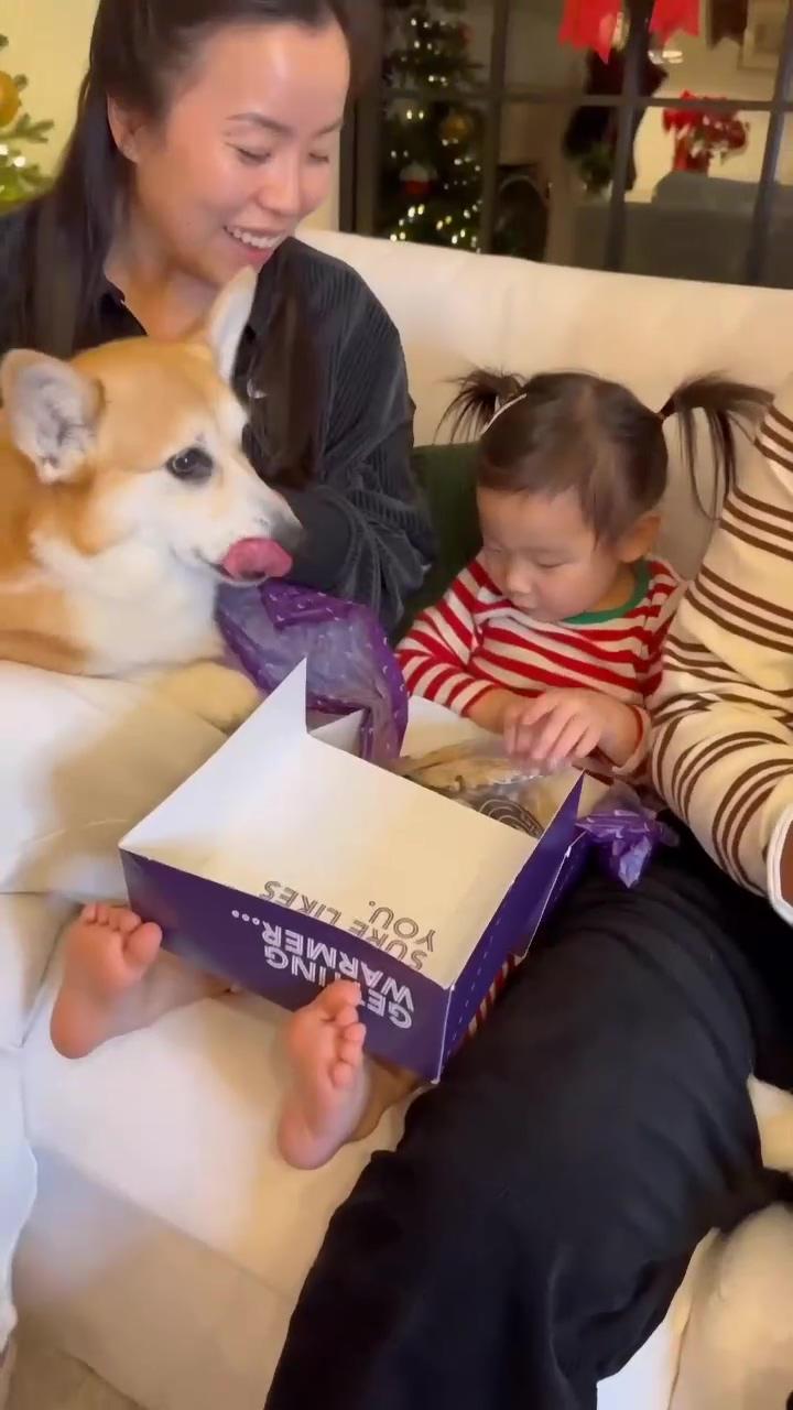 Ad we wanted to show appreciation and gratitude to some of our friends that really helped us what b; how he works in the day. #corgi#corgiworld#corgiclub#corgidog#dog#doglover#dog#corgilover#puppy