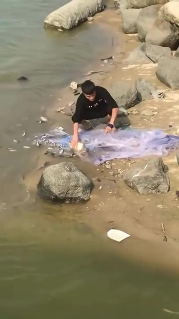 Amazing asian cast net fishing #shorts | funny dog 