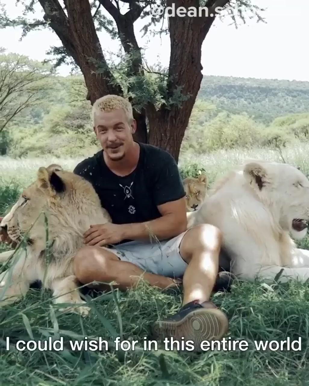 Dean schneider and lions; cute wild animals