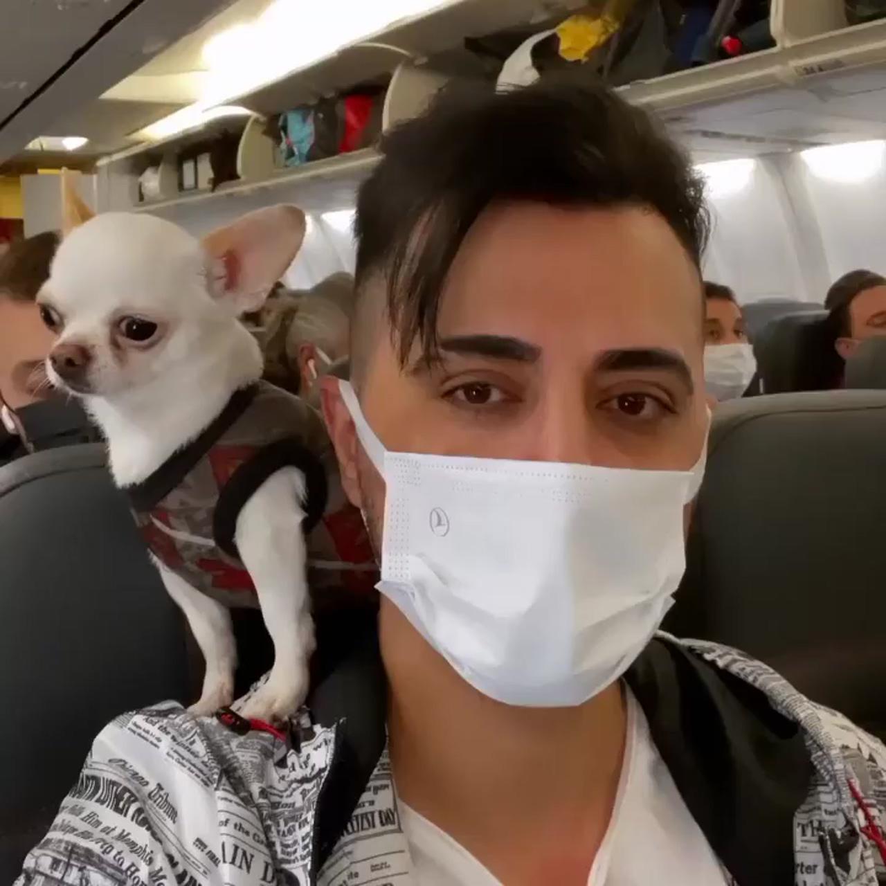 First plane trip for princess; adorable cute animals