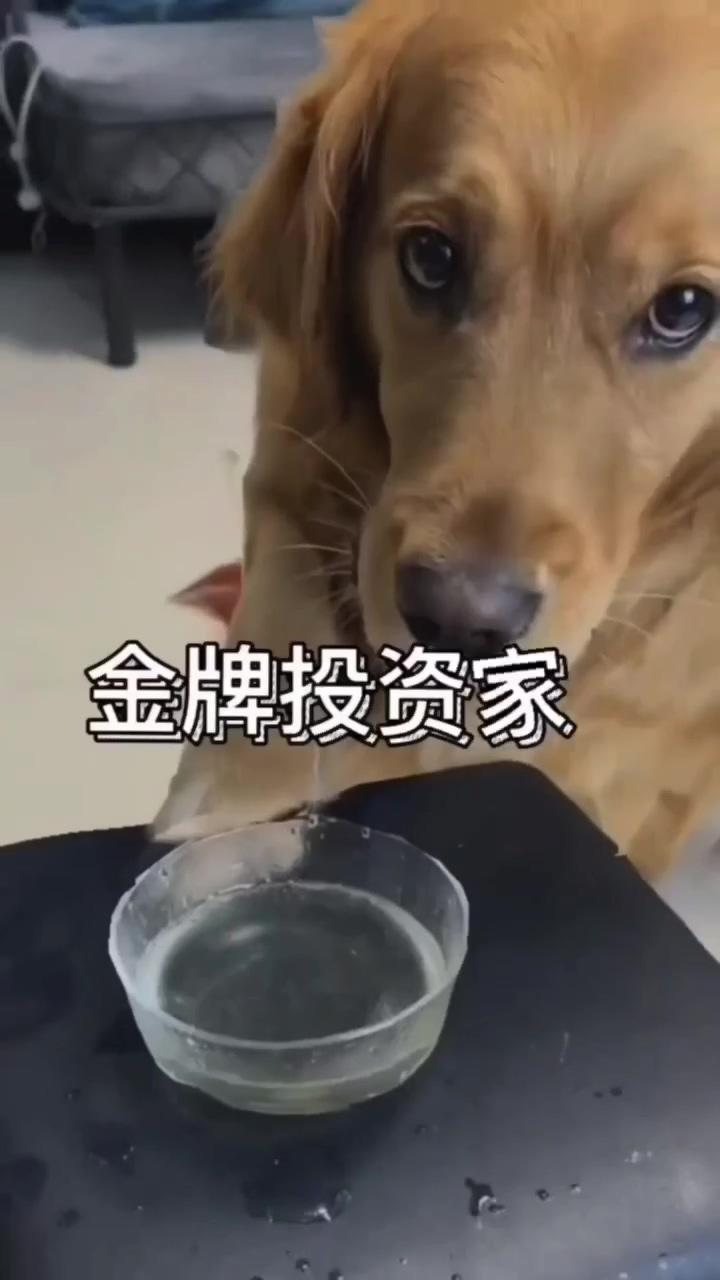 He knows how to share food; this will surely melt your heart