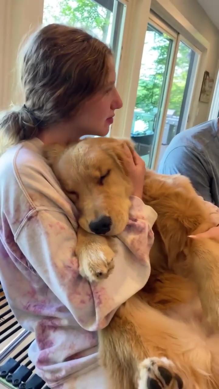 Time with mom is the best, melts my heart; the day we got teddy a best friend best day ever #goldenretrievers #goldenretriever #puppy #ne
