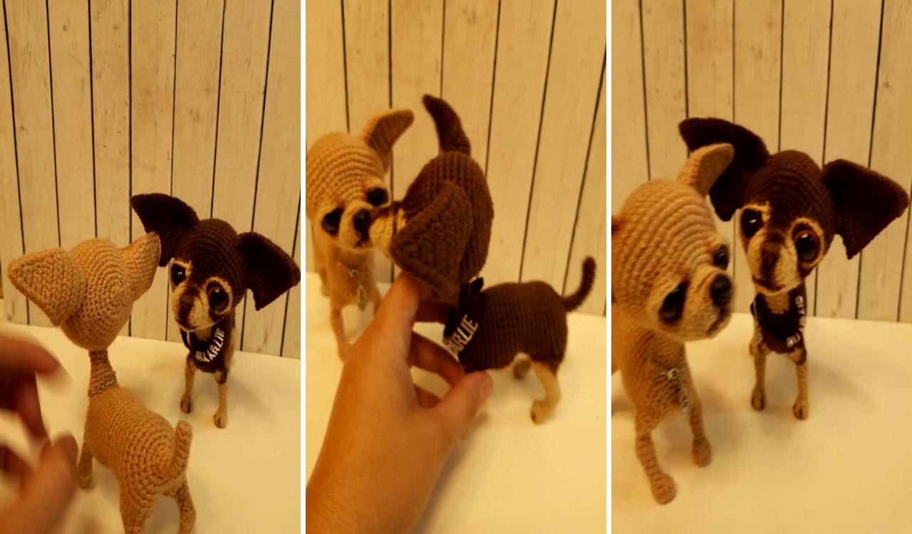 Chihuahua; wire crochet
