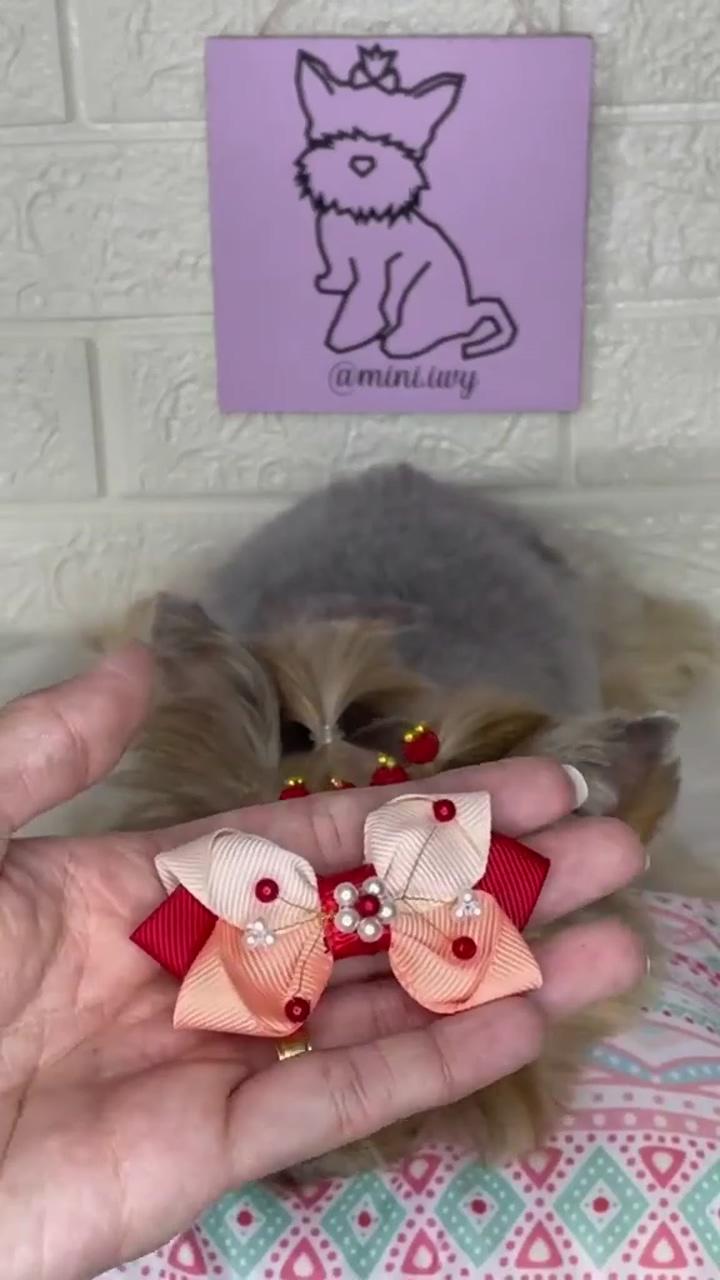 Cute dog hair clip video, watch these adorable pups rock their new styles | funny animal videos
