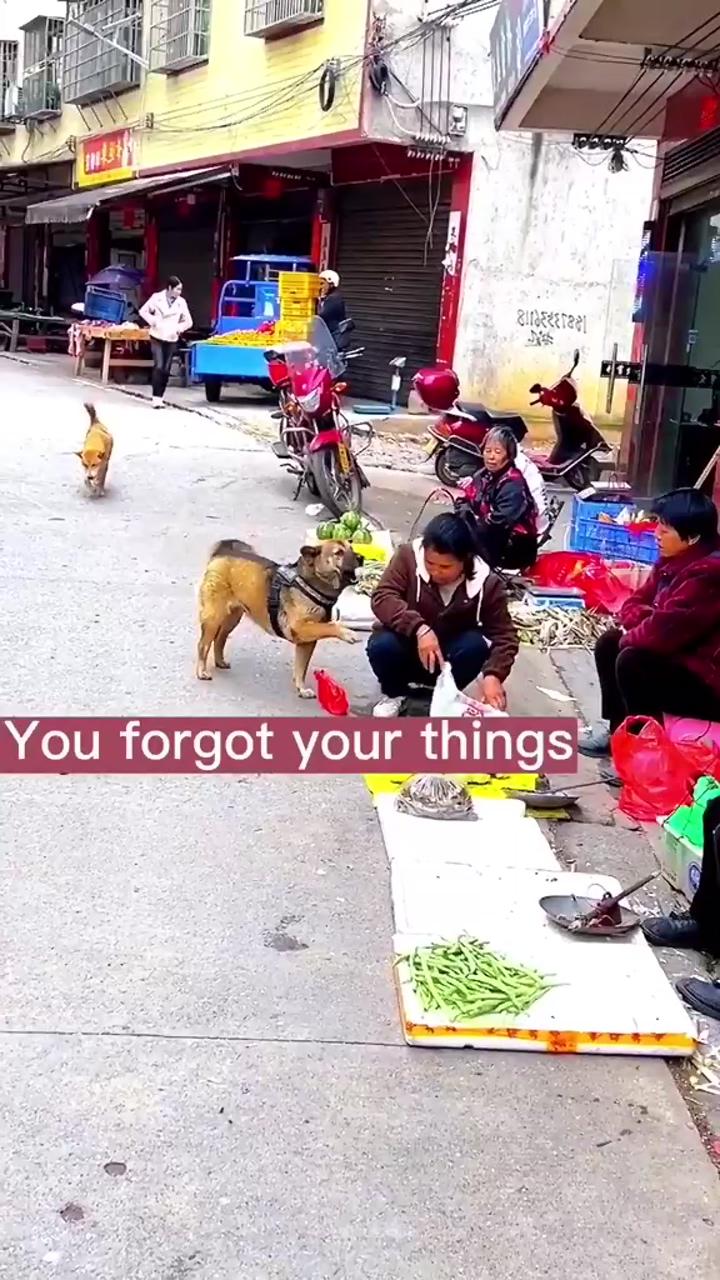 Dog selling vegetables | look at this dance style