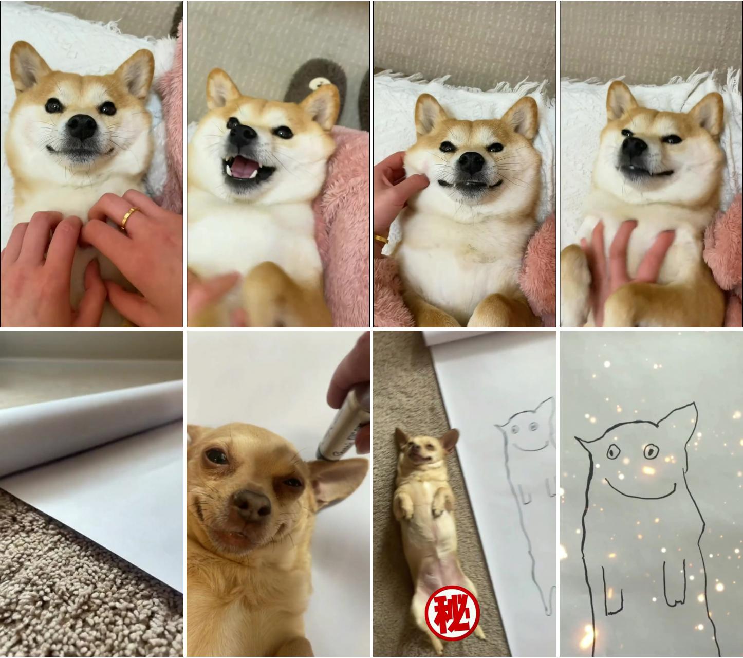 Kumite shiba inu; draw a picture for the dog
