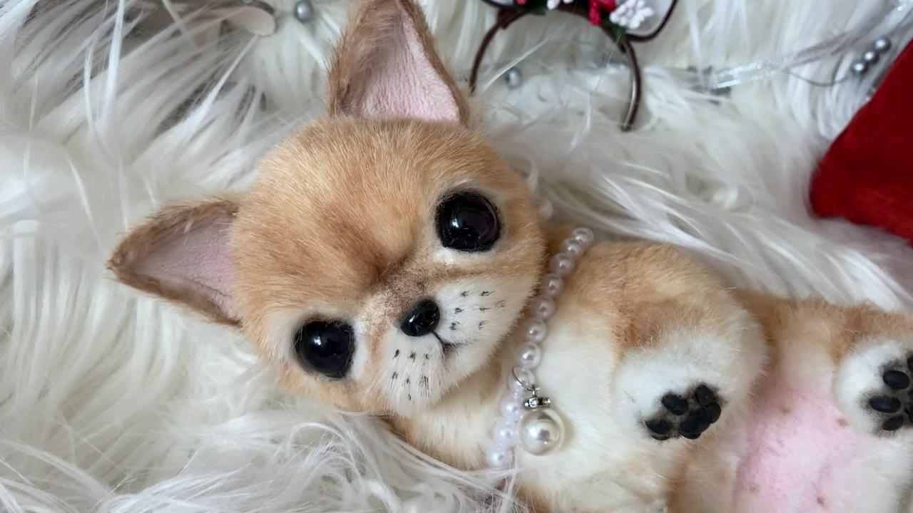 Realistic stuffed little chihuahua puppy; pomeranian stuffed animal