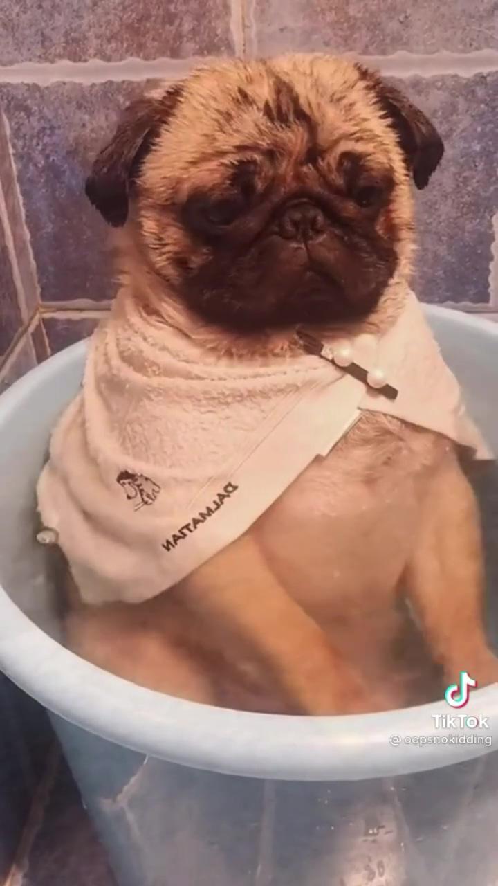 So cute; adorable...bath time