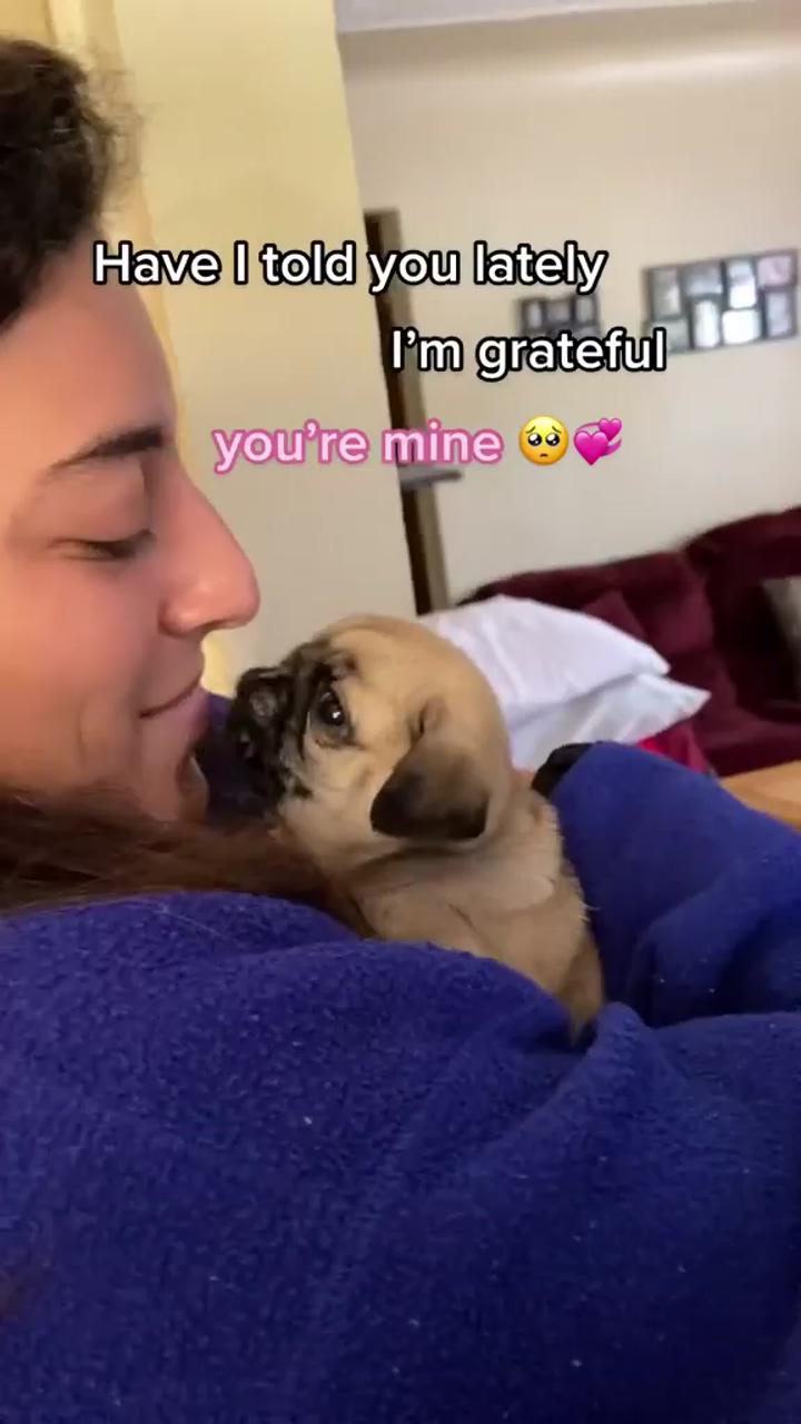 So grateful for the best girl  follow us for more amazing pug videos and photos.  | pug life in the snow