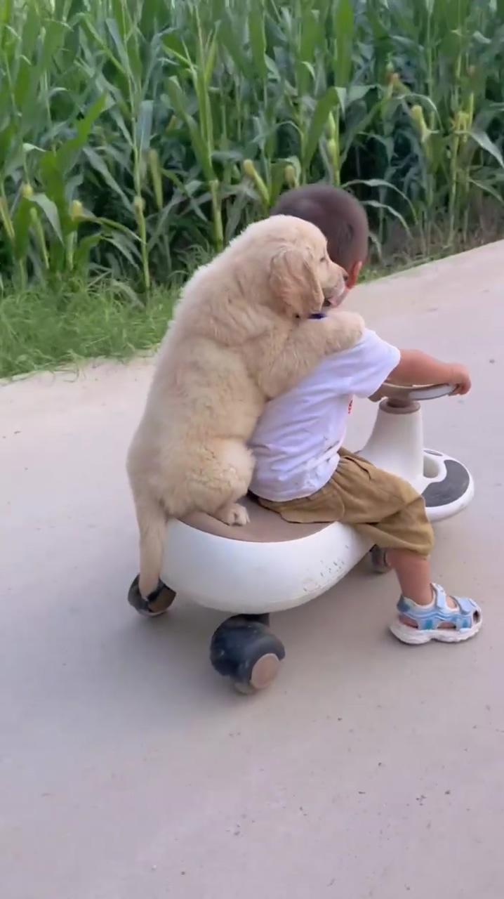 Awww a boy and his dog, that is so adorable  | baby animals