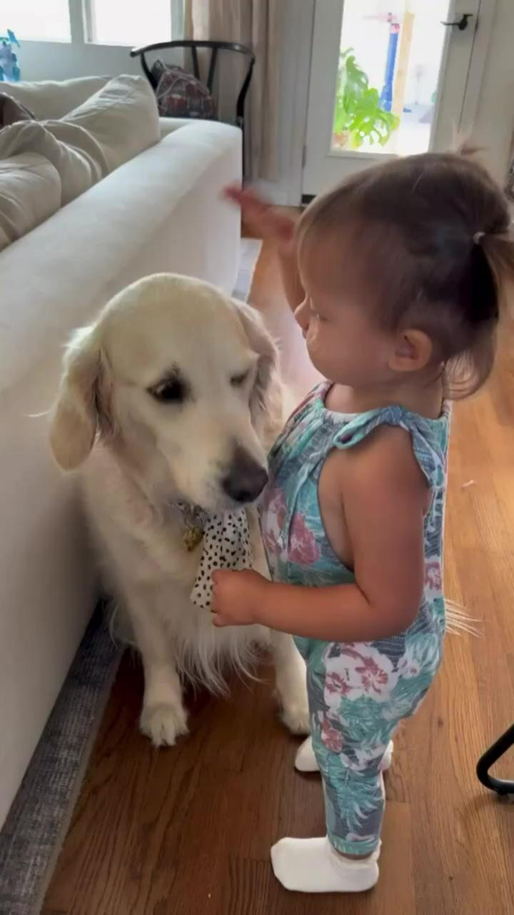 Baby and dog | cute little animals