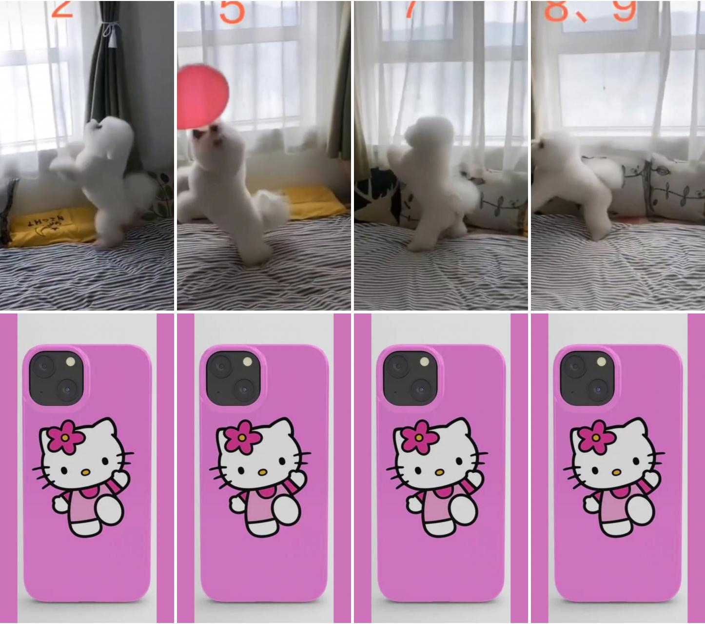 Cute dogs being silly compilation #1; pink hello kitty iphone case