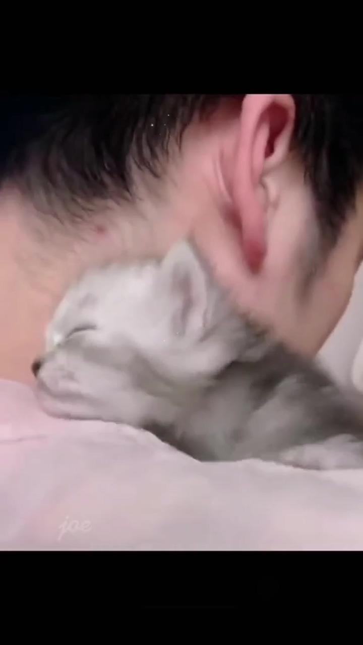 Cute kittens making their human's lives awesome | for all pets lovers https://www. batarow. com