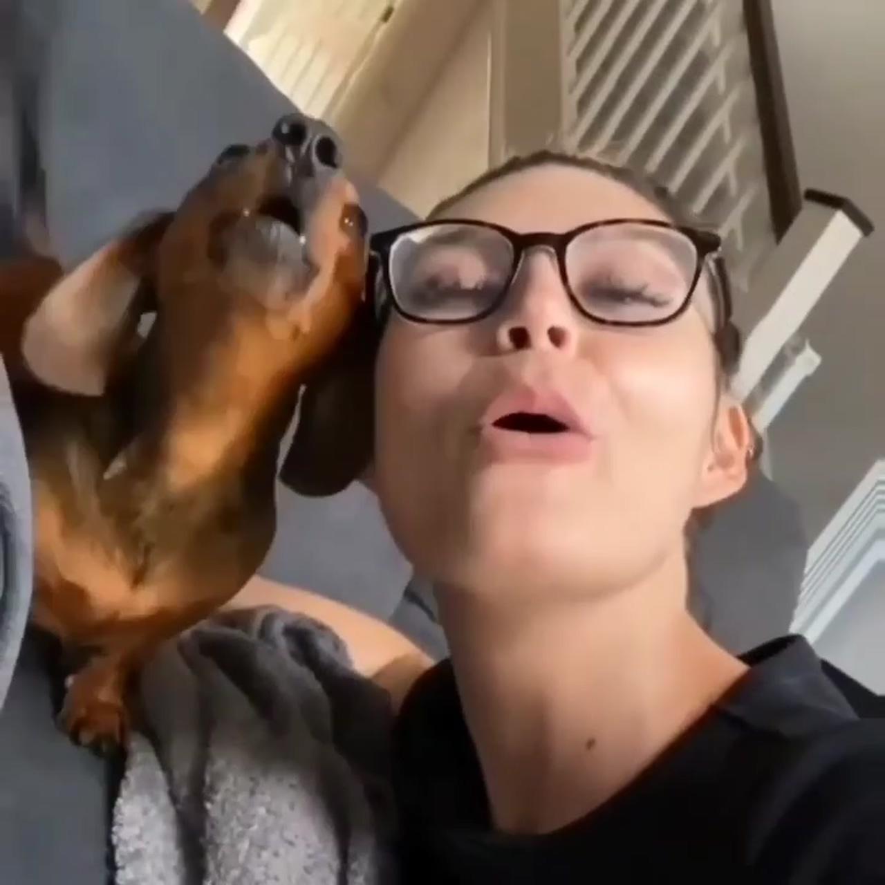 Dachshund funny videos; this is amazing but you're so clever 