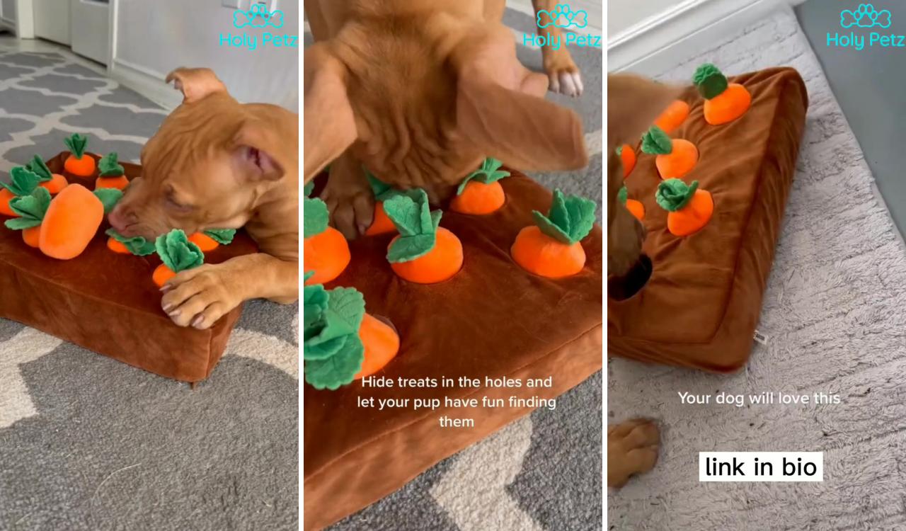Dog moms will love this irresistible dog toy; dog treat puzzles