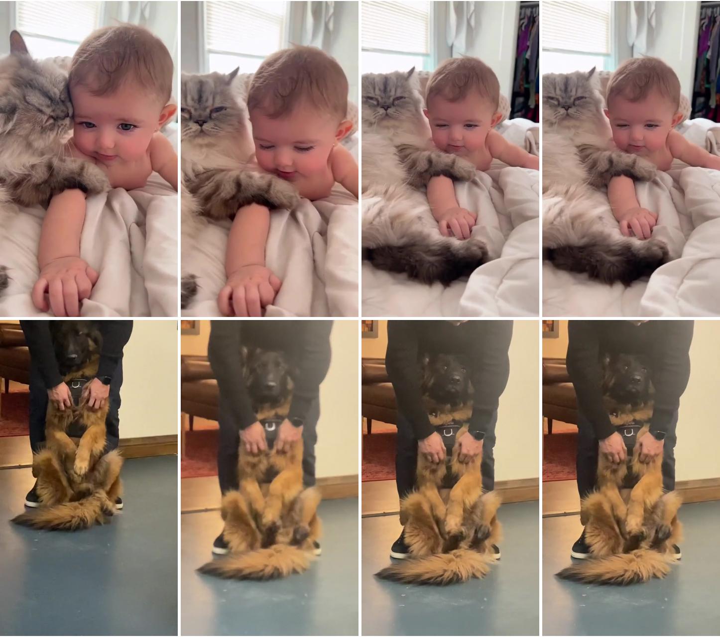 Just don't stop; cute baby videos