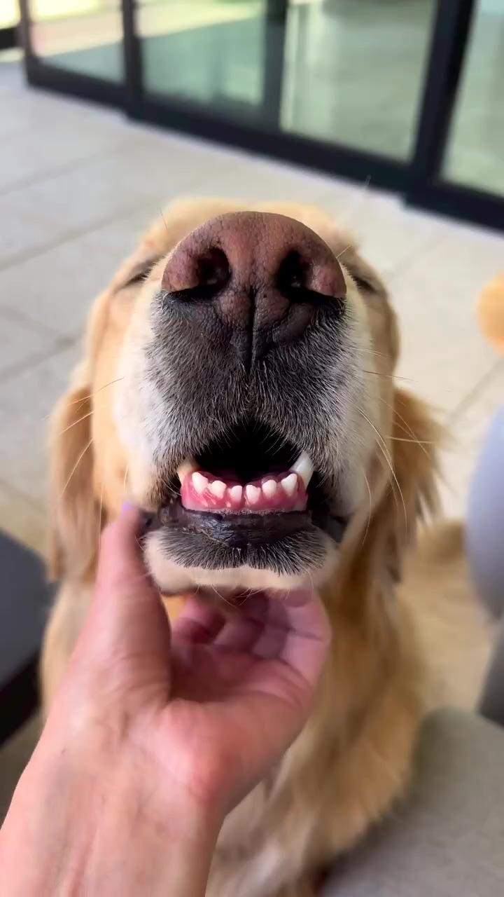 Sweetest scratchies | little champ