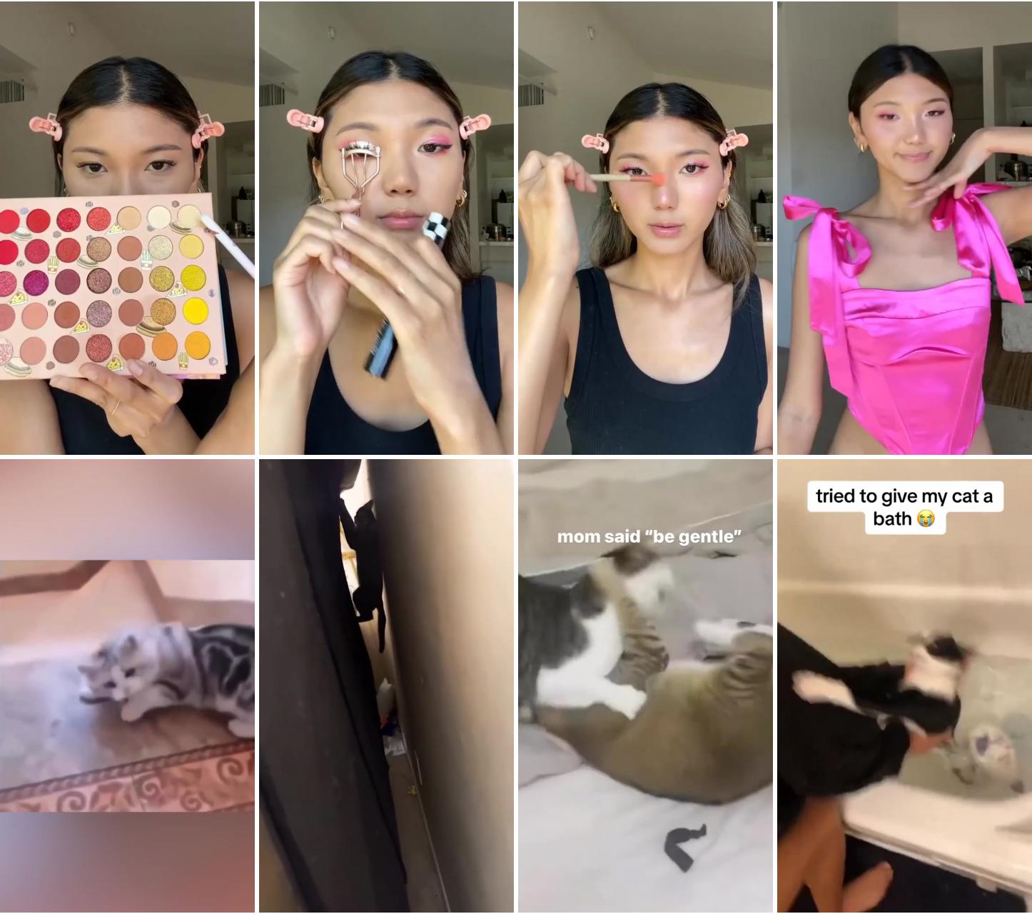 124 shades eyeshadow inspired by your favorite fast food; funny pet videos: cats on the attack and acting crazy