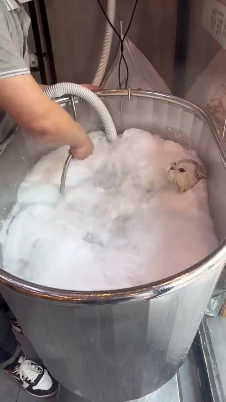 Bubble bath; soo cute cat 