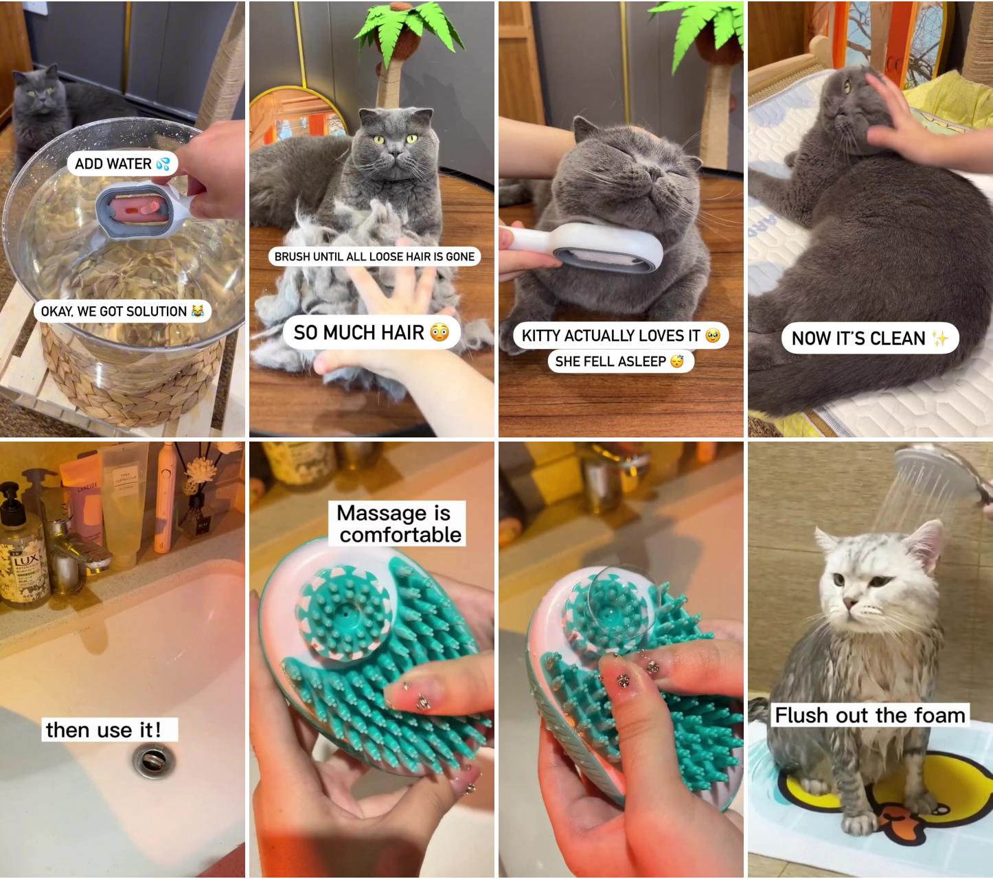 Cat hair brush with water; 128 hilarious cat snapchats that are in-paw-sible not to laugh at