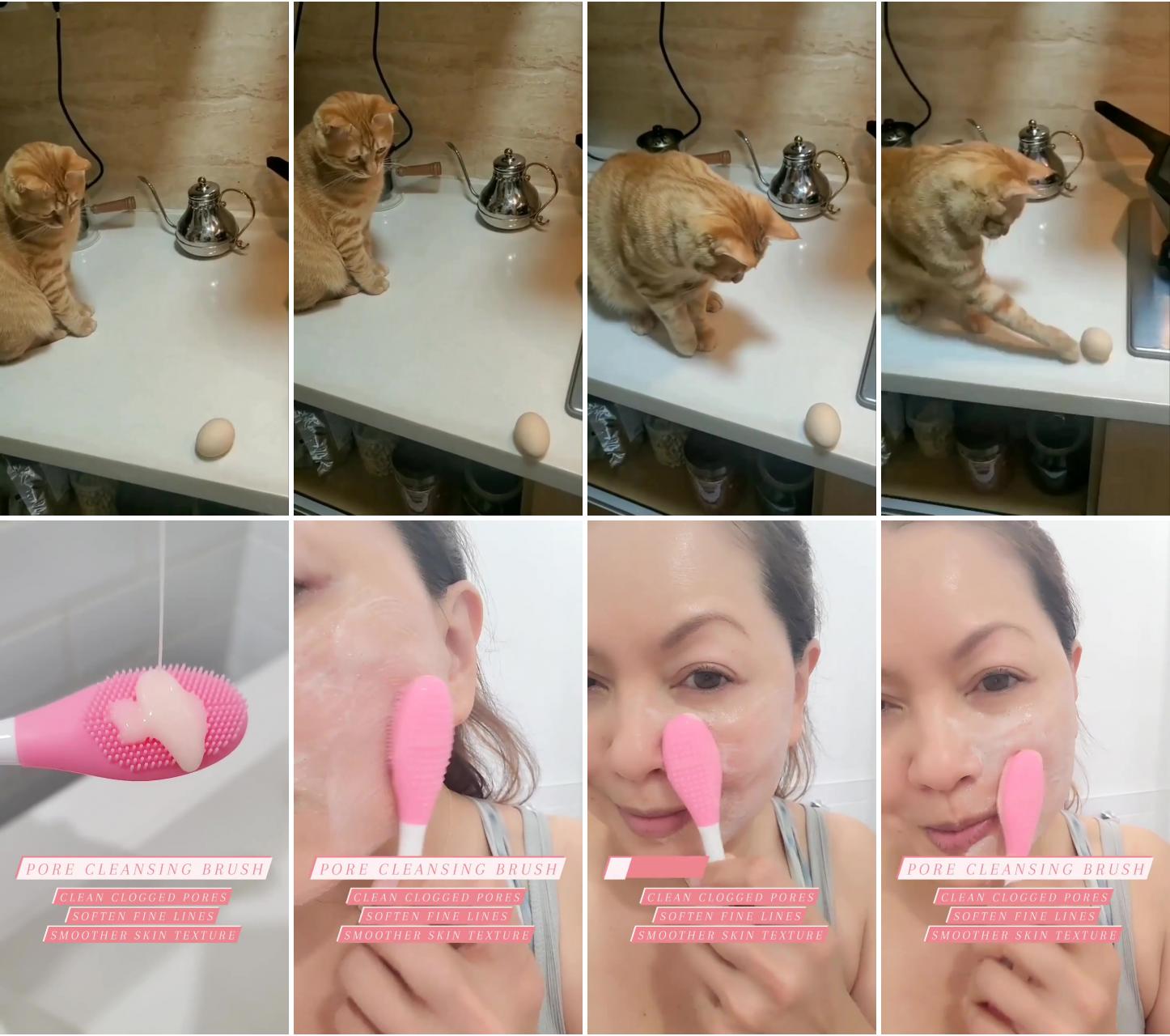 Cat play with egg; one of our hero products is the pore cleansing brush