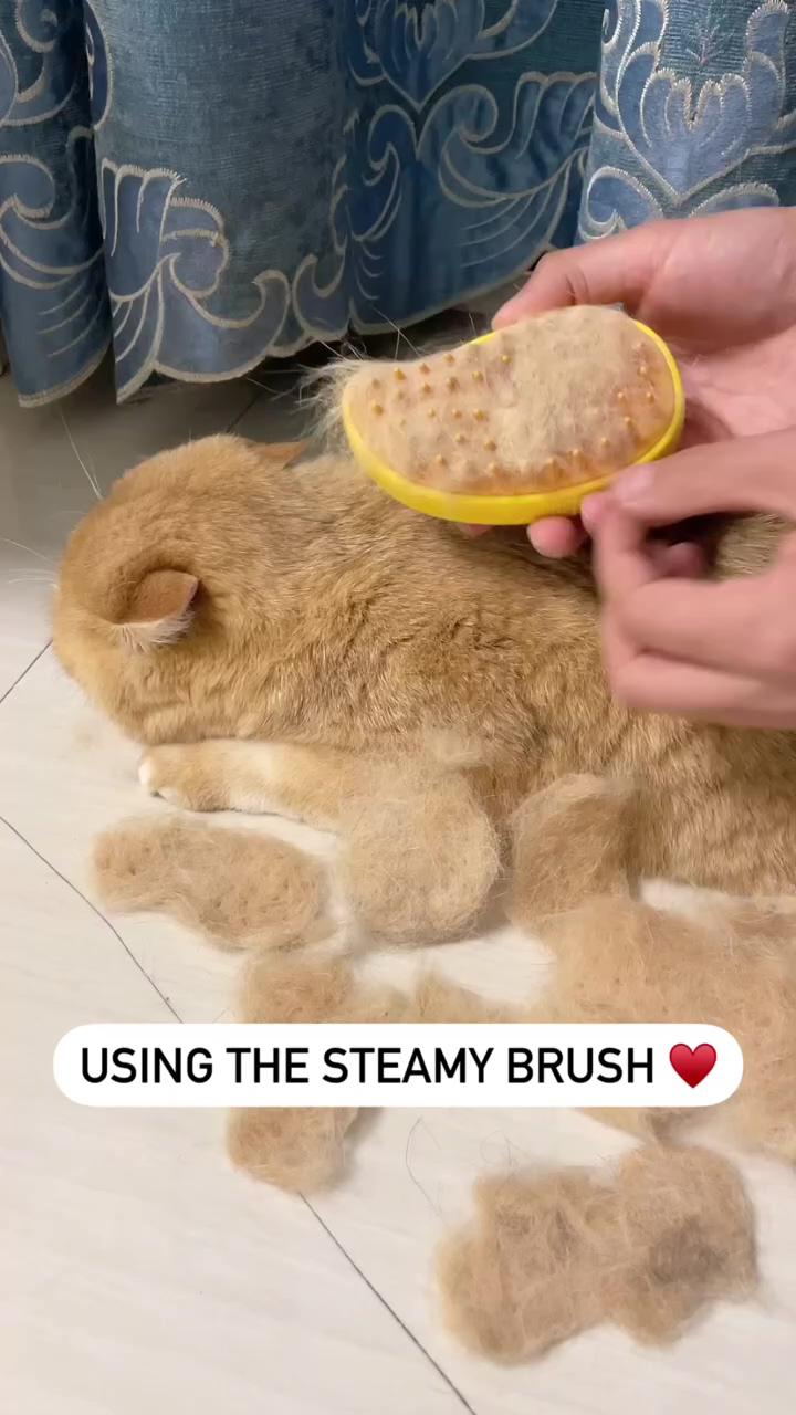 Cat steam brush; smart home gadget