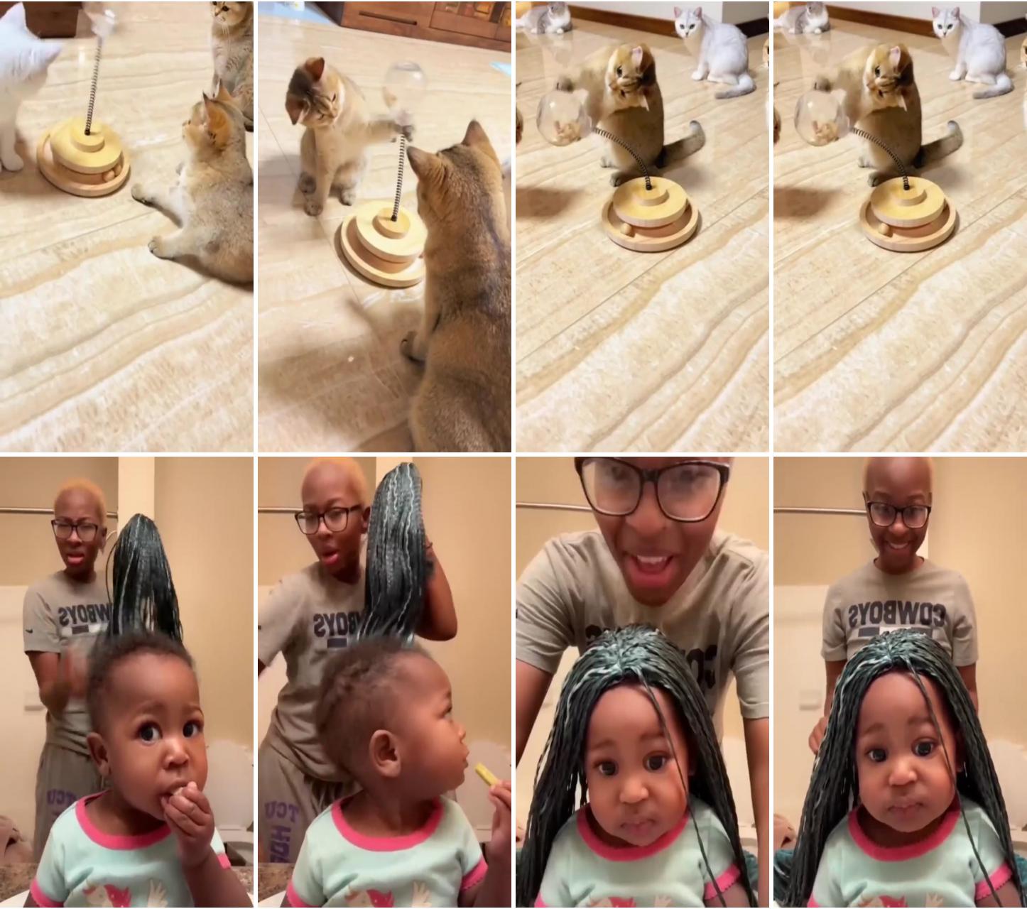 Cat toys treats dispenser toys - pawpycup; adorable 11-month-old black baby girl can't stop smiling with her new braid wig