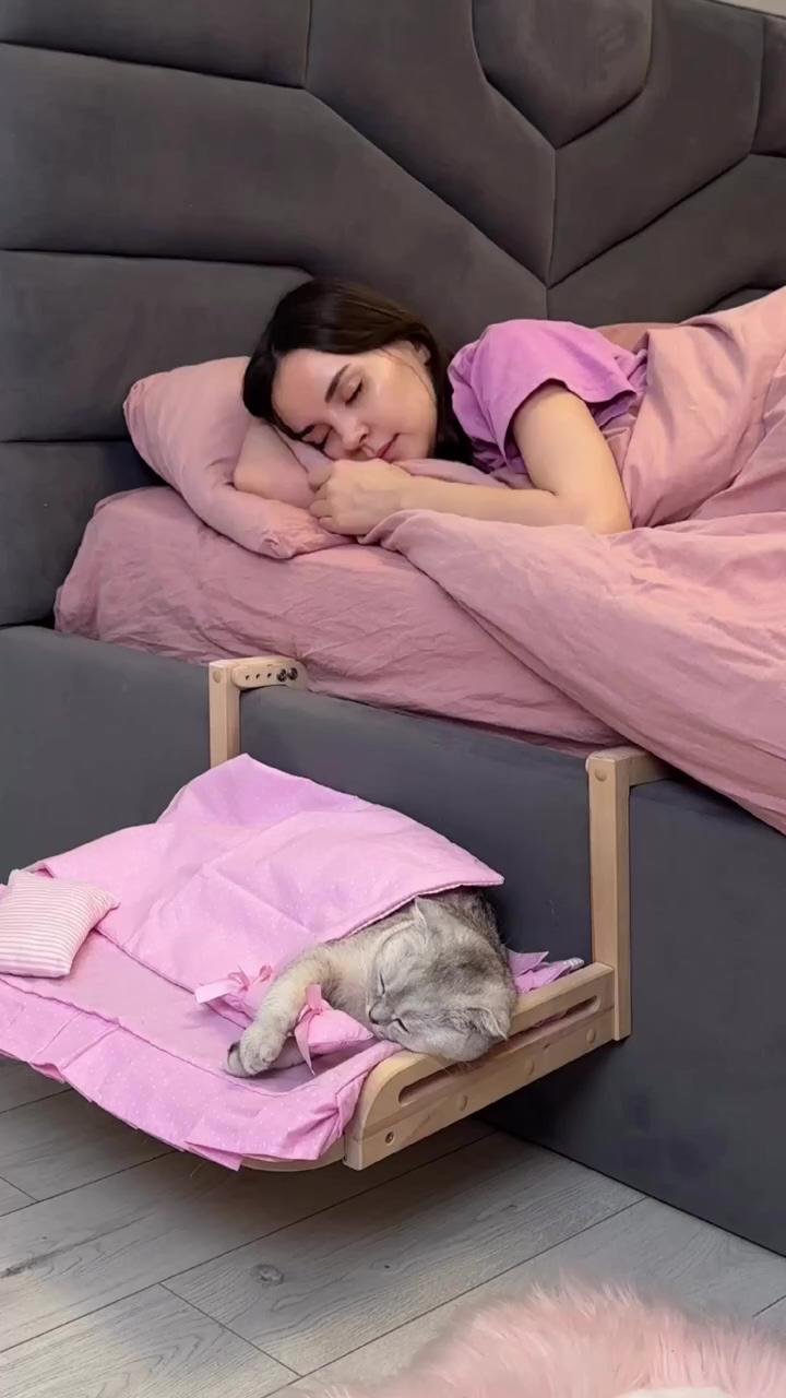Have a good night sweet cat; cat bed, cat tree, macrame cat hammock, cat wall furniture, hanging cat bed, cat shelf, cat swing